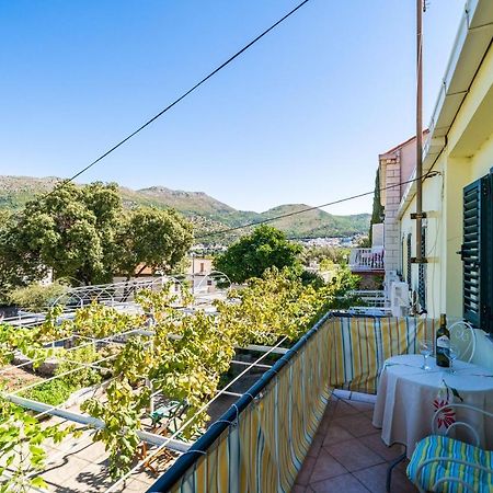 Apartments Lidija Zaton  Ngoại thất bức ảnh